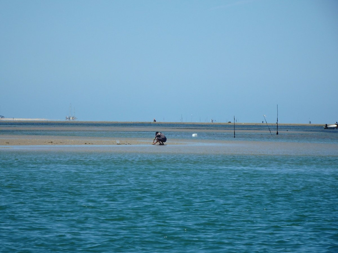 ALGARVE WOW- Day Tours-Almancil必去景点