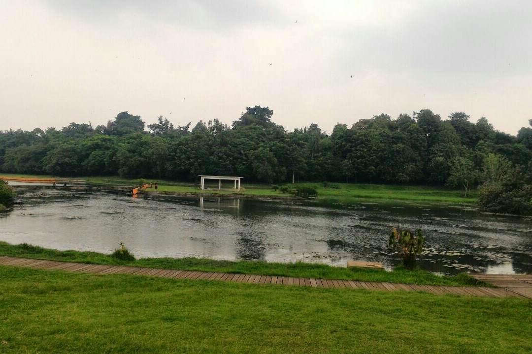 Lake Dora-Cibinong必去景点