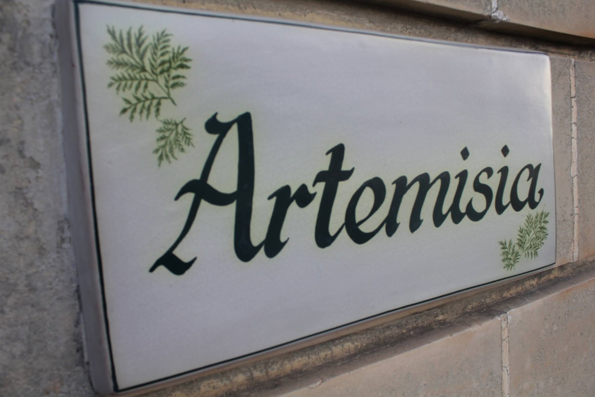 Artemisia-酒店景观