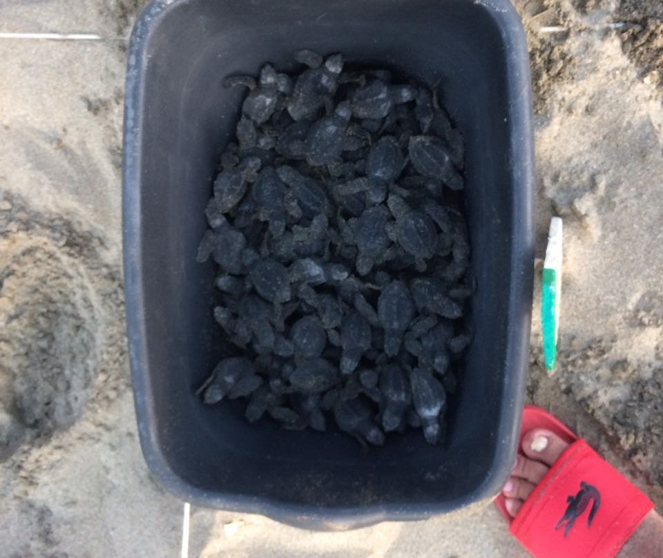 ECOT-Troncones必去景点