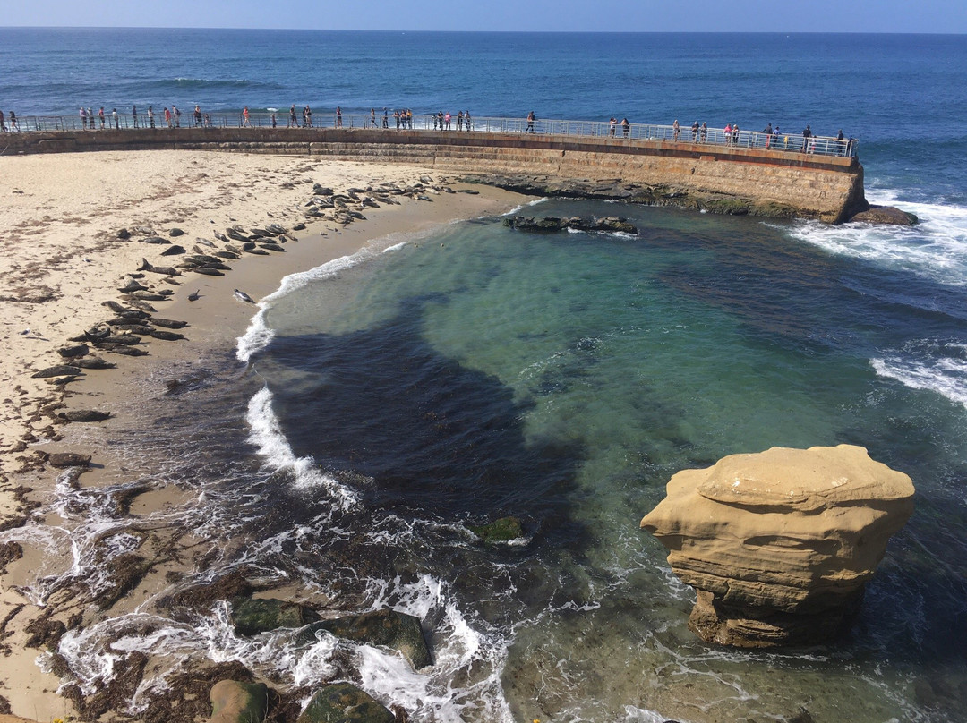 Coast Boulevard Park-拉荷亚必去景点