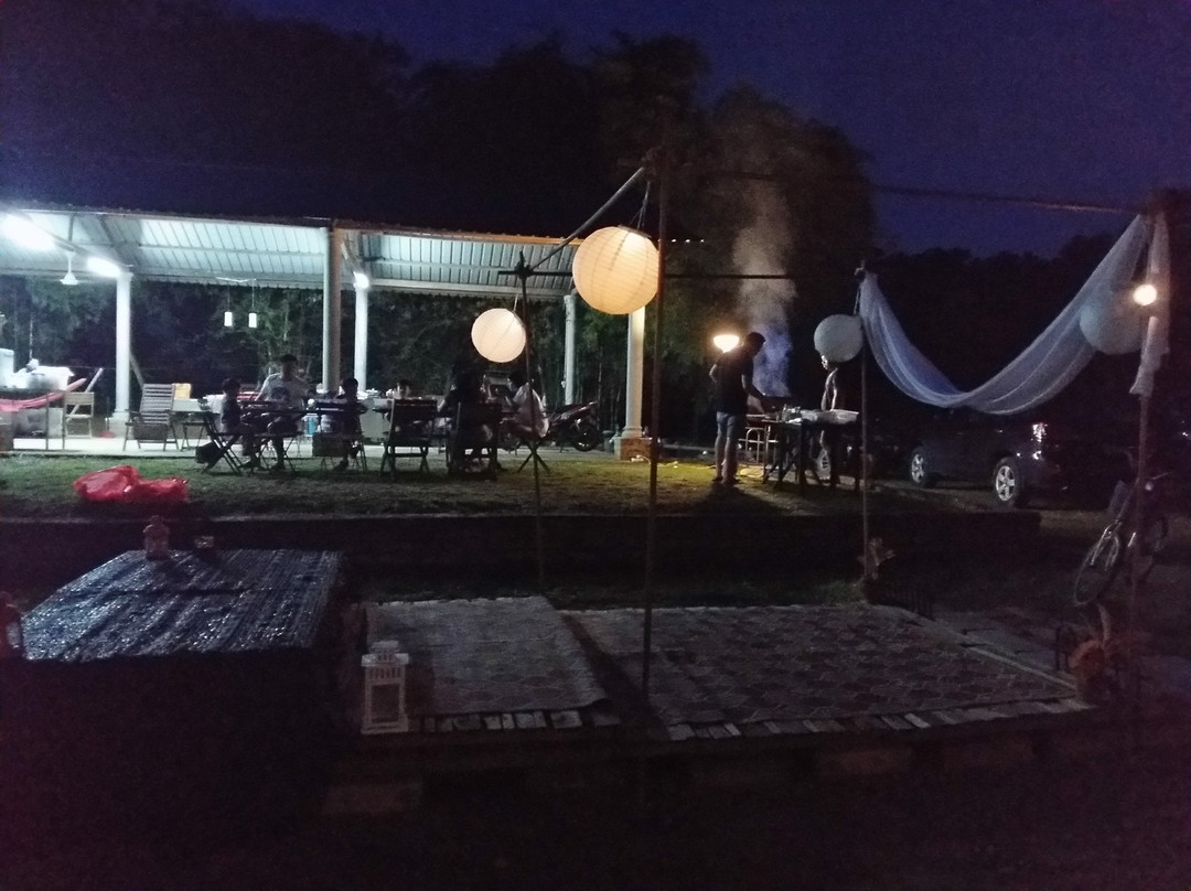 Canopy Tribes