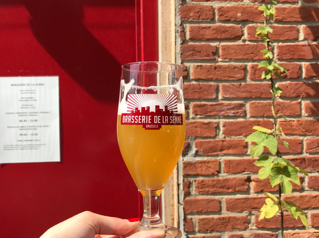 Brasserie de la Senne景点图片