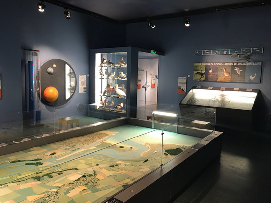 Maison de la Nature et de L'Estuaire-Sallenelles必去景点