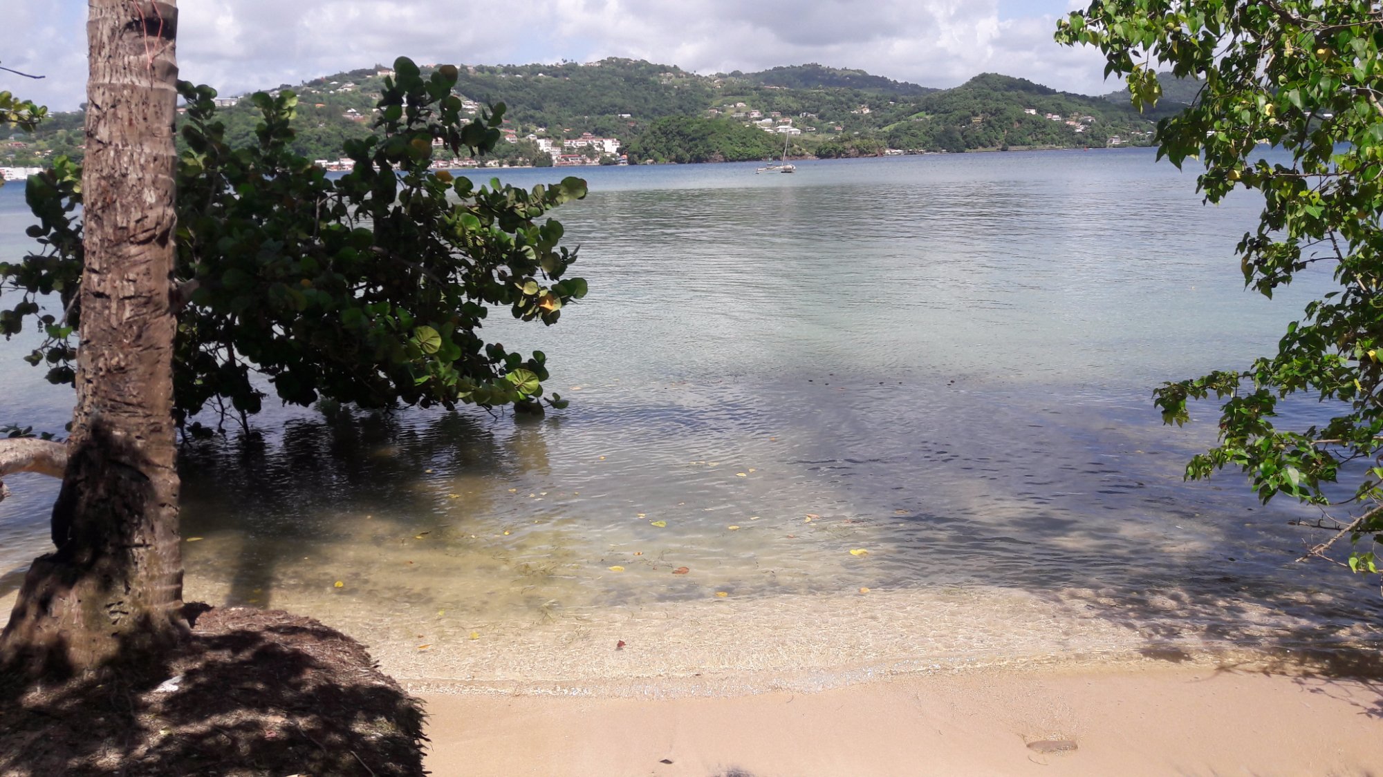 Location Meryem-泳池