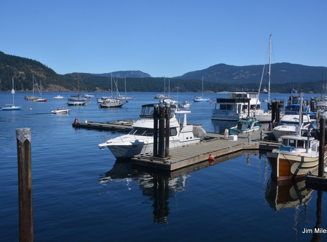 Cowichan Wooden Boat Society景点图片