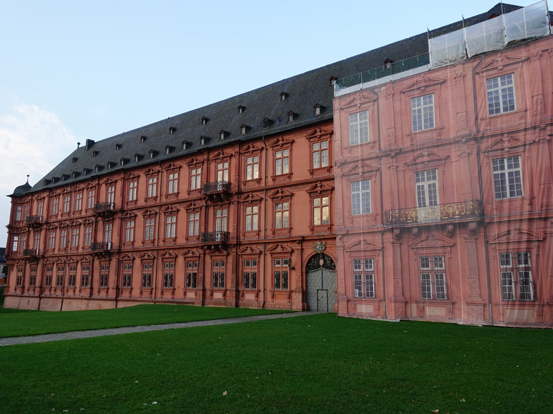 Römisch-Germanisches Zentralmuseum-美因茨必去景点
