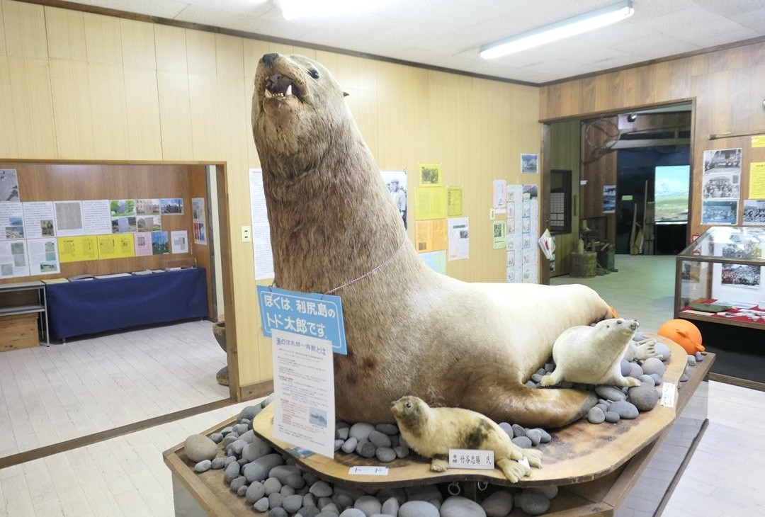 Rishiri Island Folk Museum-利尻富士町必去景点