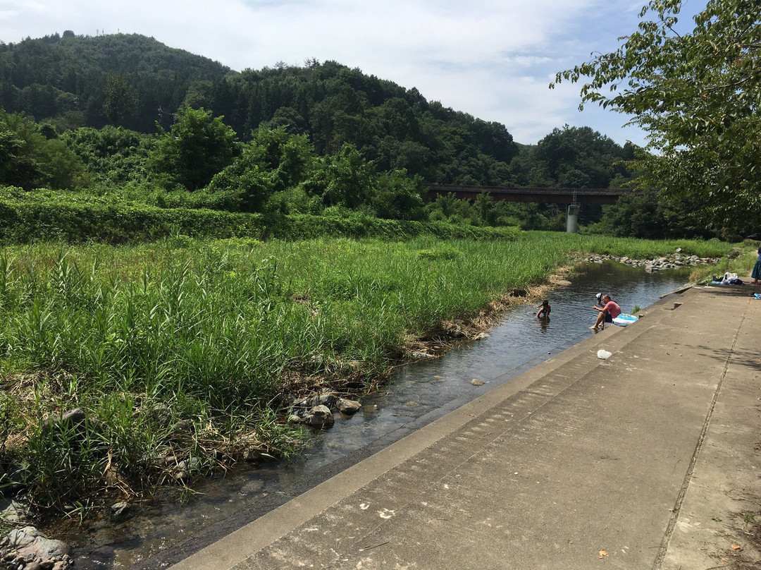 Seiryu Park景点图片