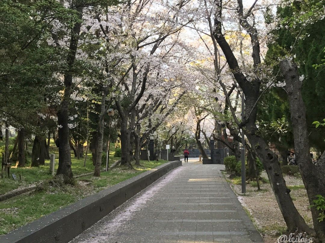 Statue of Big Raccoon Dog-高滨市必去景点