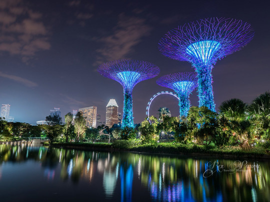 Aperture Tours-新加坡必去景点