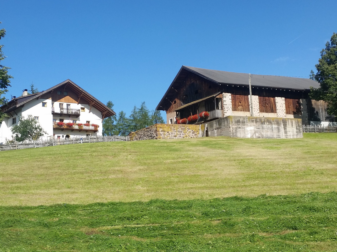 Bachnerhof