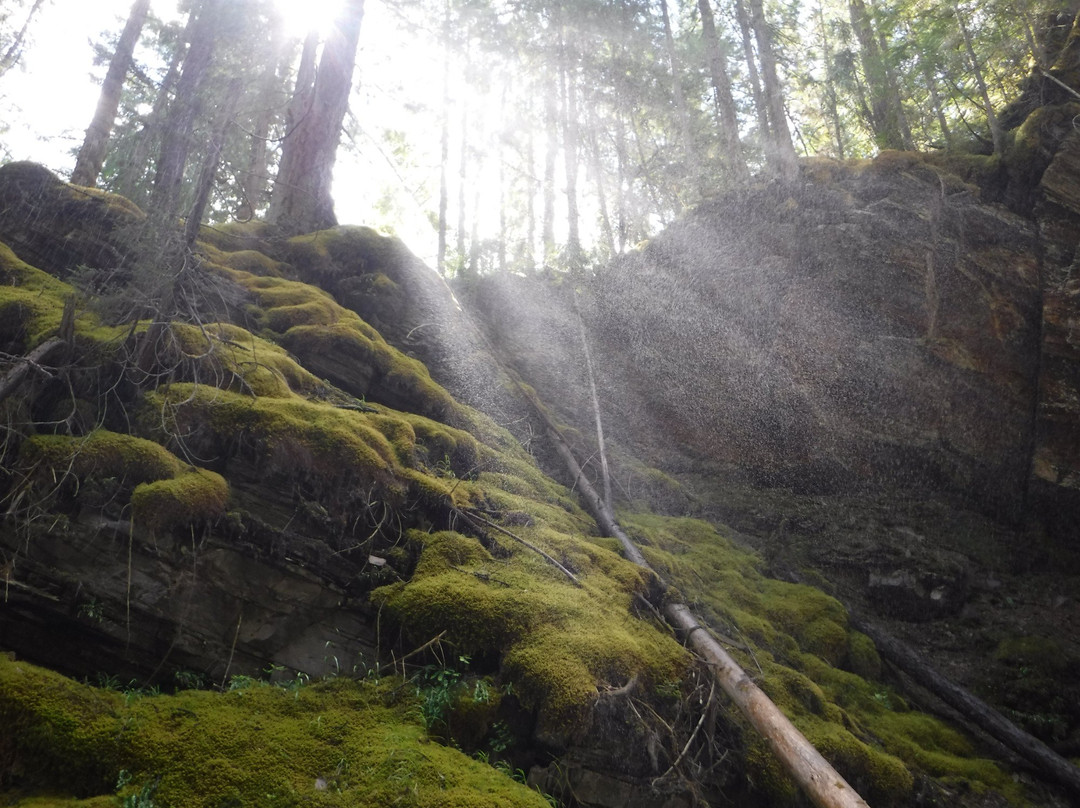 Kokanee Glacier Provincial Park景点图片