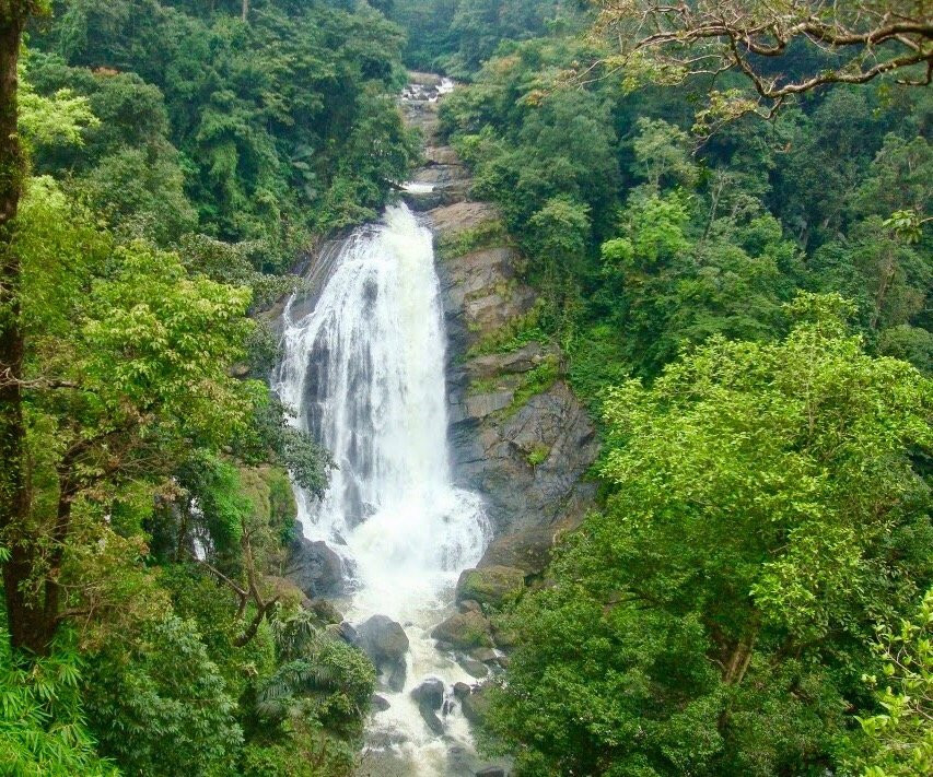 Attukal Waterfalls景点图片