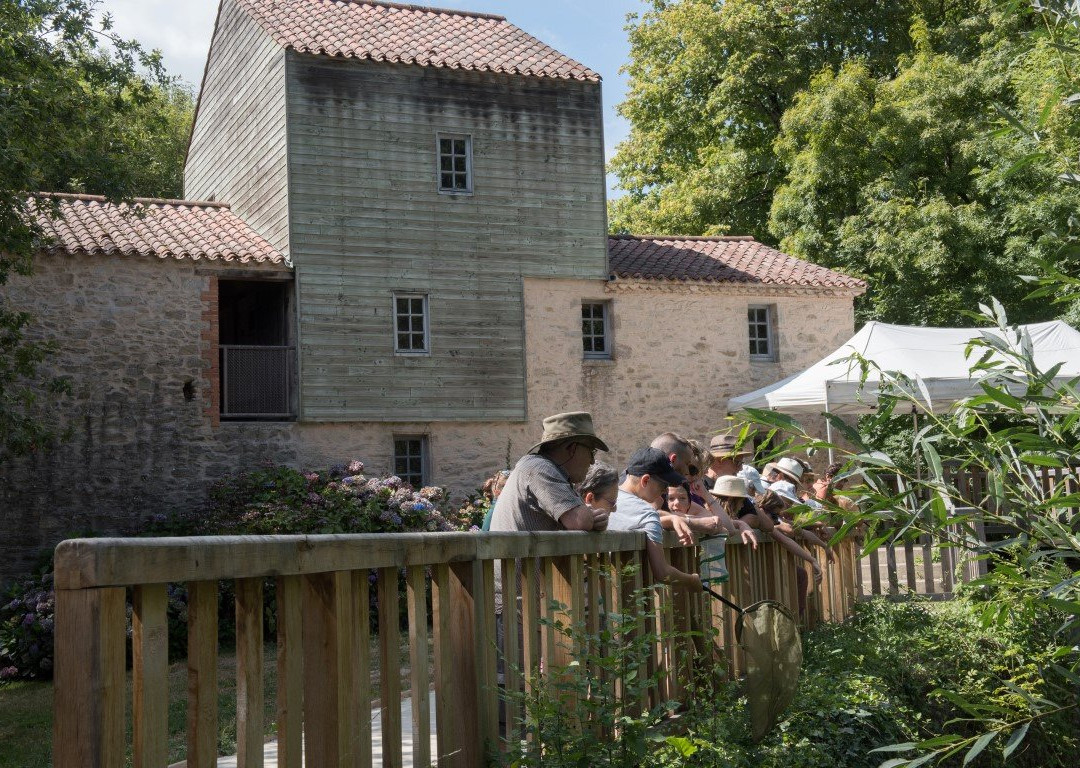 Moulin de Rambourg景点图片