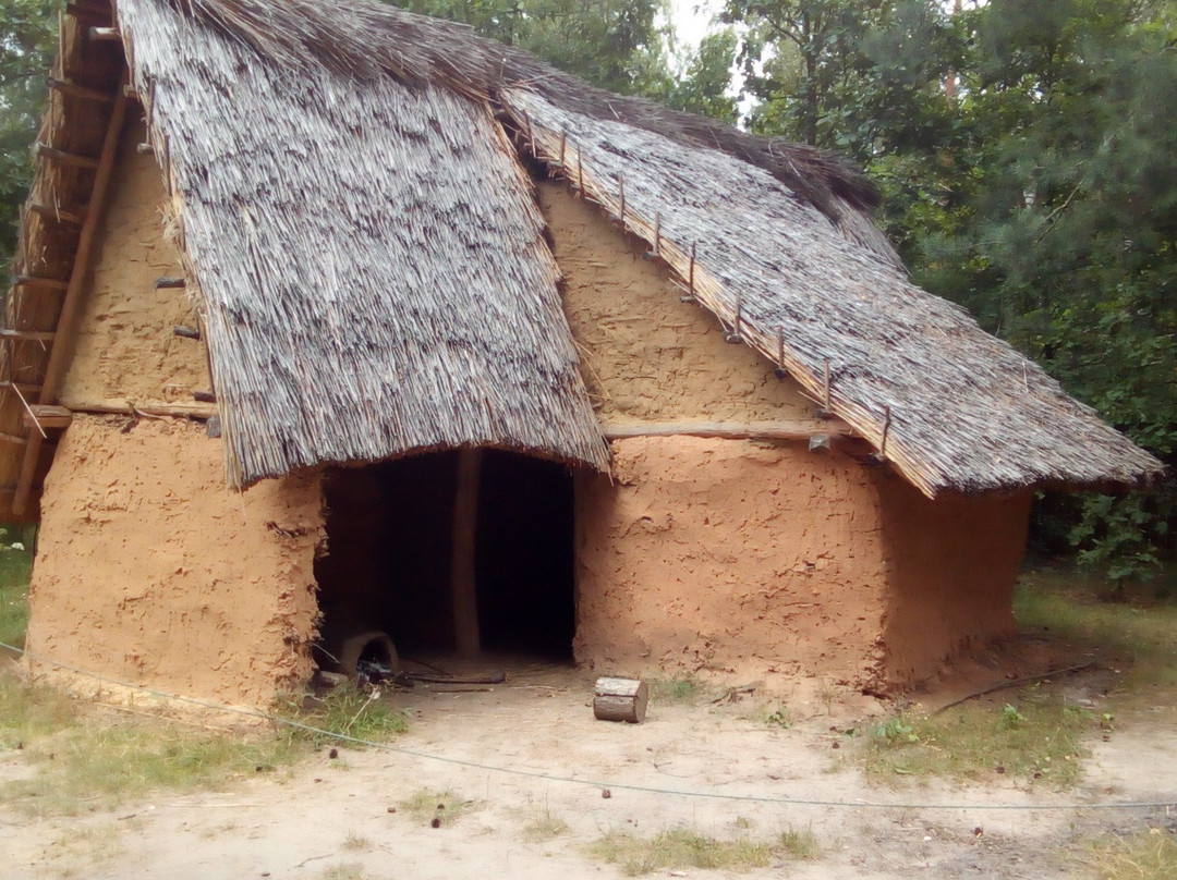 Krzemionki Archeological Museum景点图片