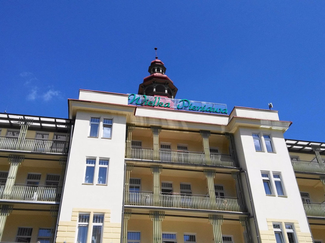 Kurhaus Wielka Pieniawa Spa景点图片