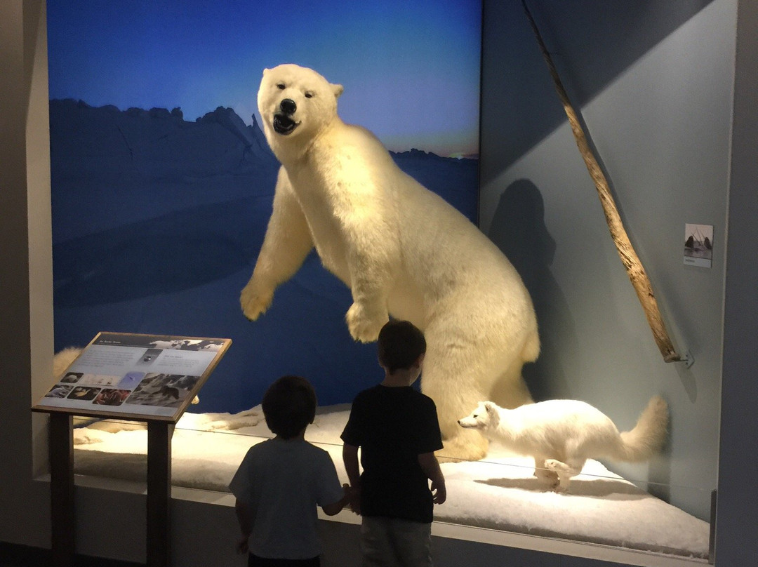 Schisler Museum of Wildlife & Natural History and McMunn Planetarium景点图片
