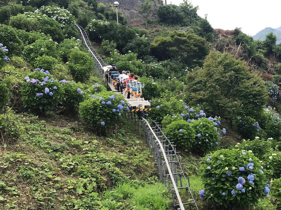 Roadside station Kiri no Mori-四国中央市必去景点