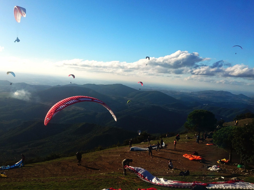 Parapente Algodonales景点图片