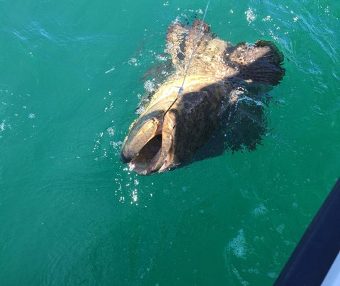 Island Fever Fishing Charters-迈尔斯堡海滩必去景点