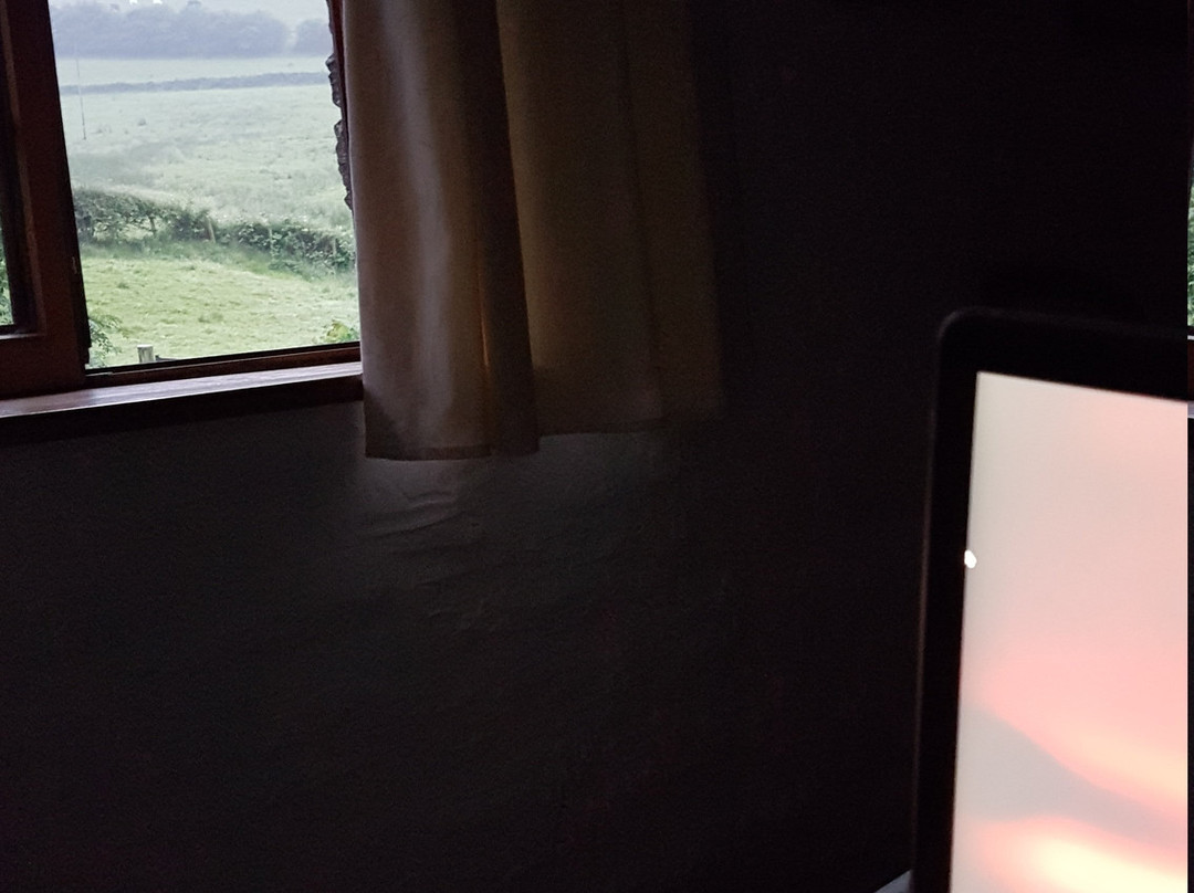 Yr Hen Felin Bed and Breakfast主图