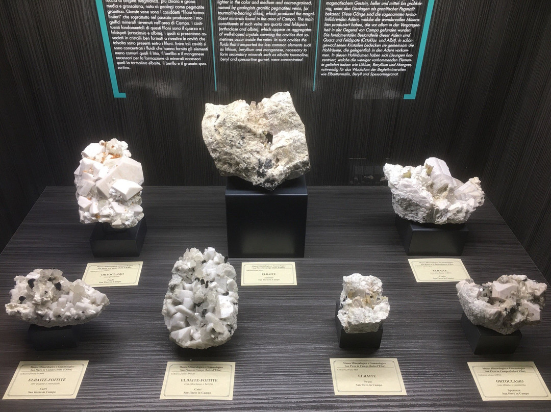 MUM - Museo Mineralogico e Gemmologico  Luigi Celleri景点图片