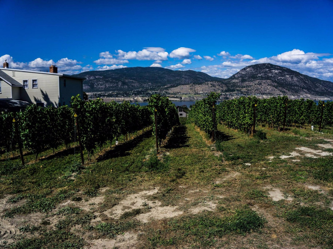 Monster Vineyards-彭蒂克顿必去景点