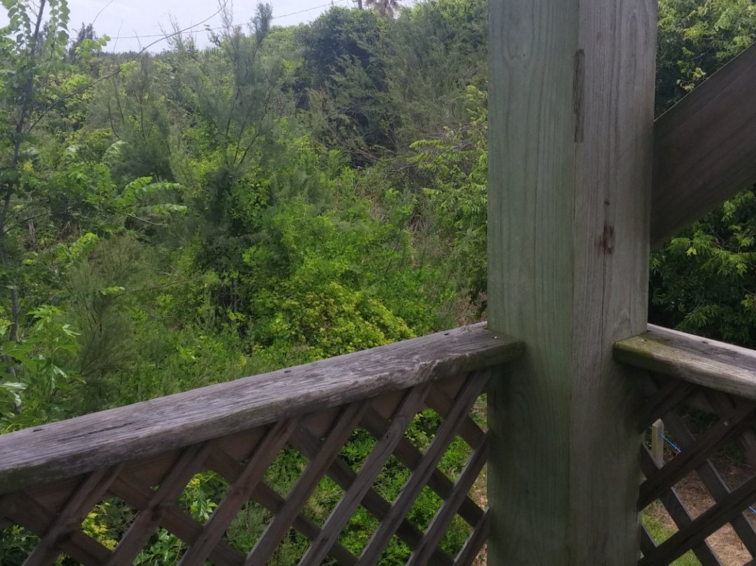 Quintana Neotropical Bird Sanctuary-Quintana必去景点