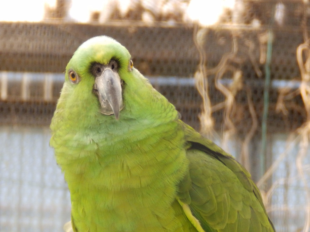 Children's Zoo Takashimadaira branch-板桥区必去景点