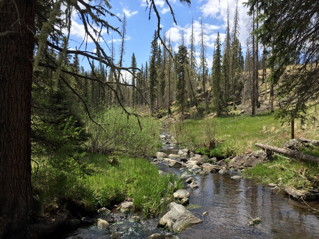 Pinetop-Lakeside旅游攻略图片