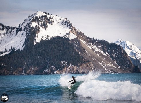 Alaska Surf Guides-苏厄德必去景点