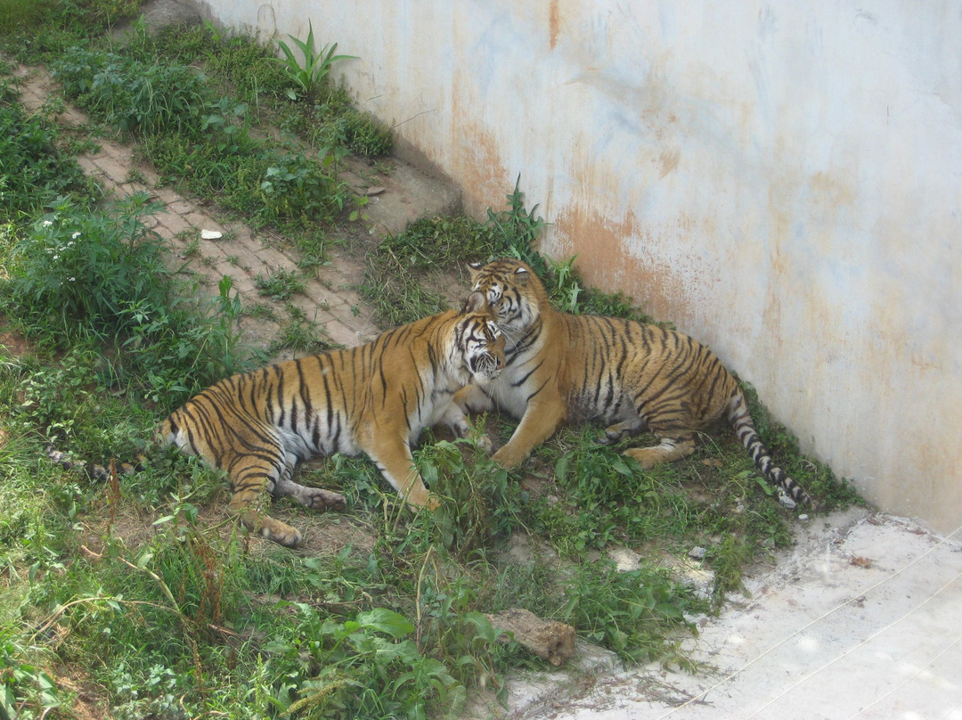 长沙生态动物园-长沙市必去景点