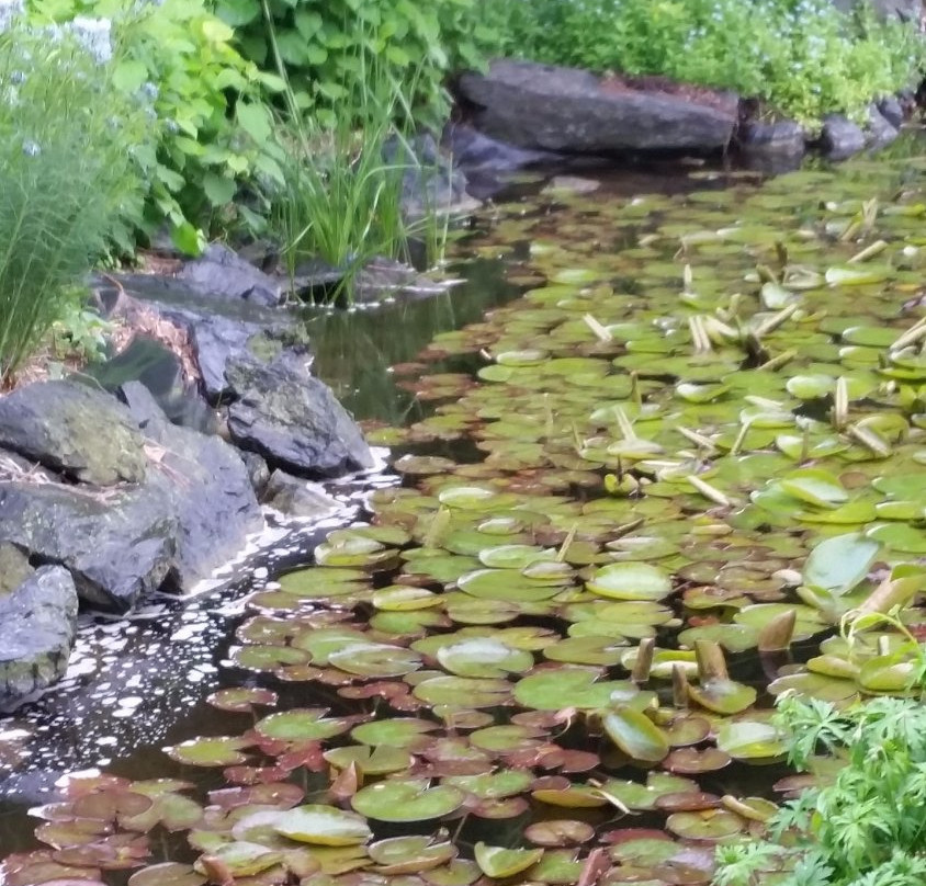 Klehm Arboretum & Botanic Garden-罗克福德必去景点