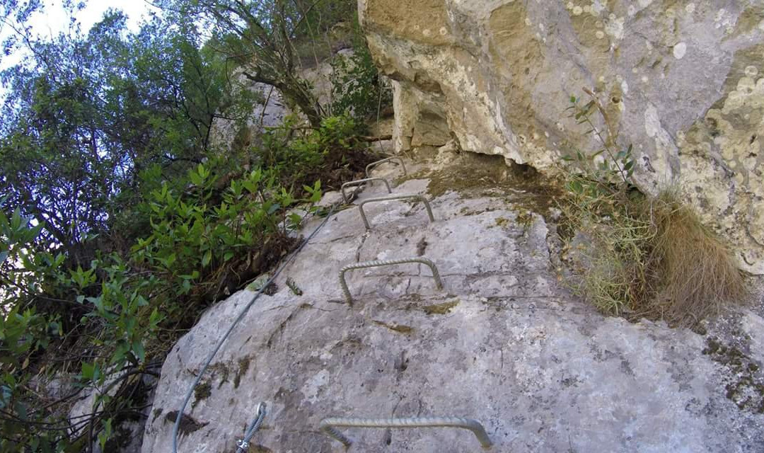Vidosa Multiaventura景点图片