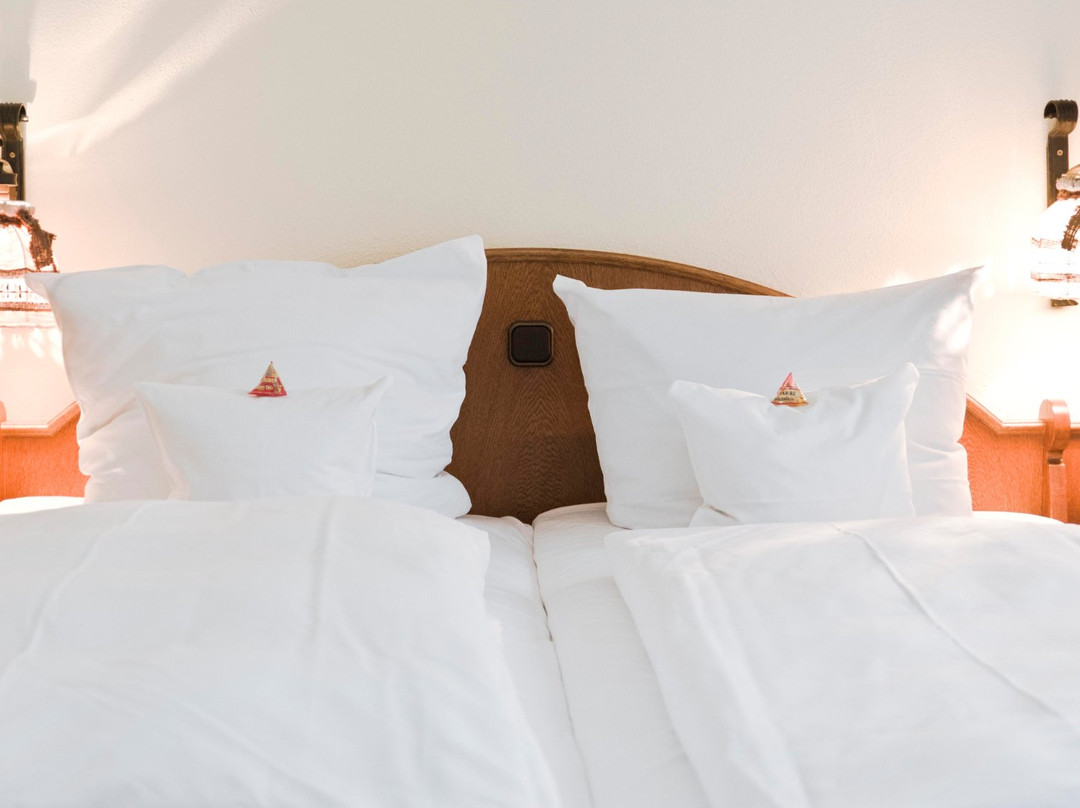 Hotel Kainsbacher Muehle主图
