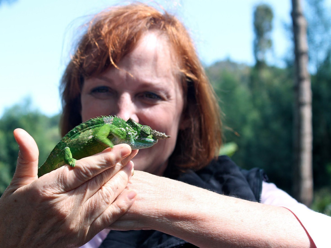 Usambara Tours-卢绍托必去景点