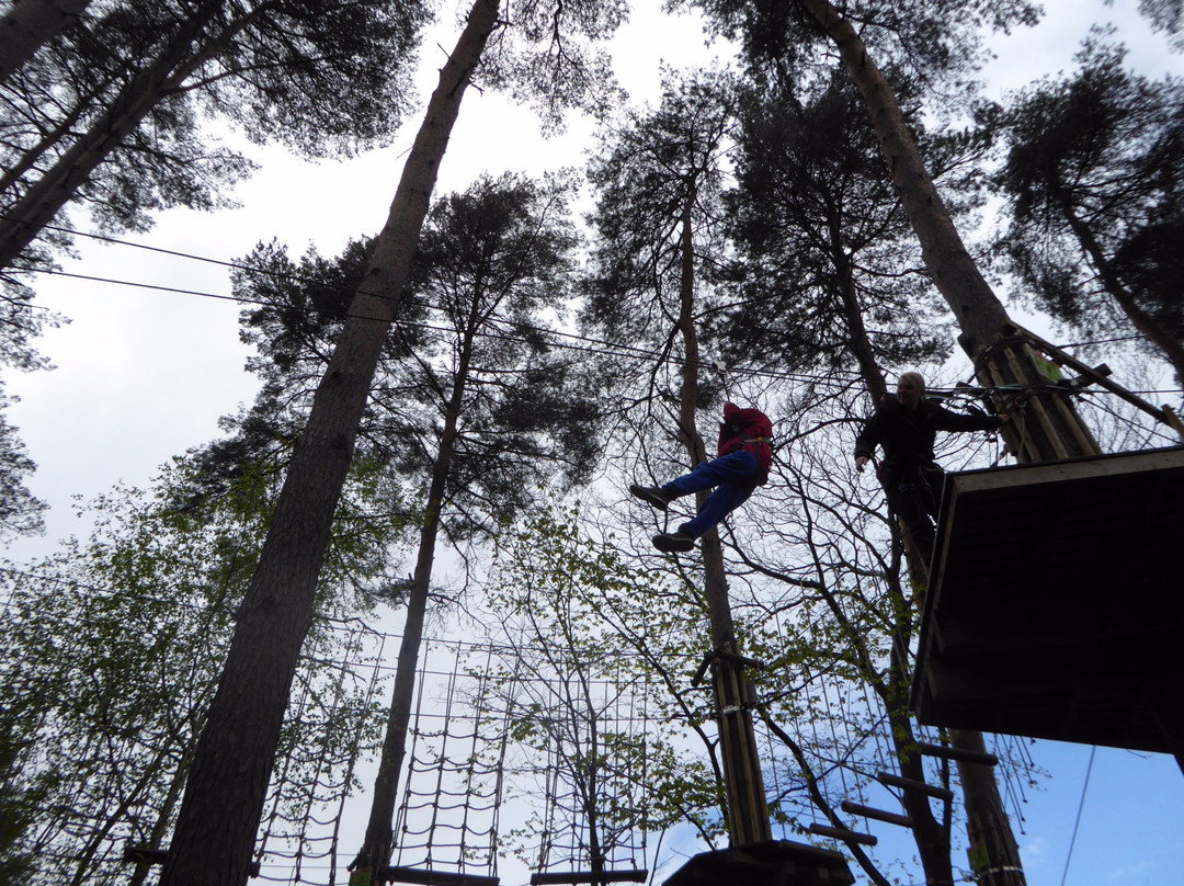 Go Ape Bedgebury景点图片