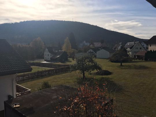 Schwarzwald Schaefer主图