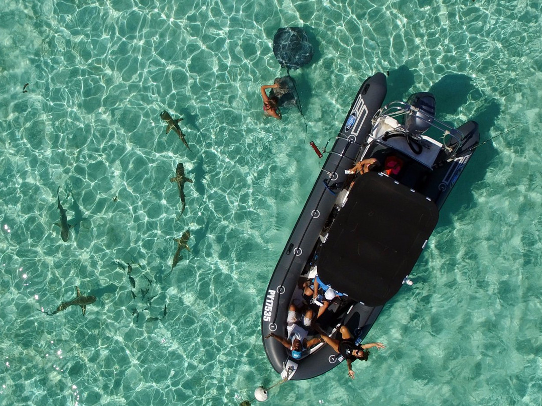 Moorea Ocean Adventures-莫雷阿岛必去景点
