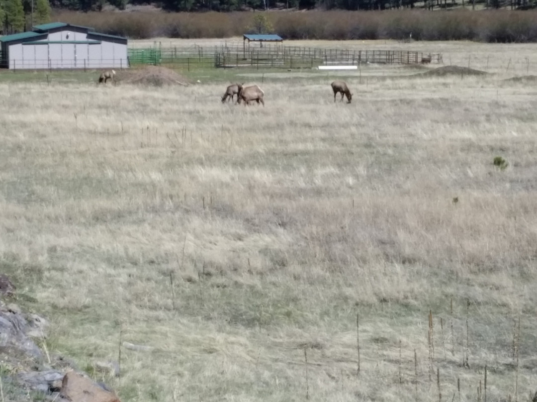 West Baldy Trail-Greer必去景点
