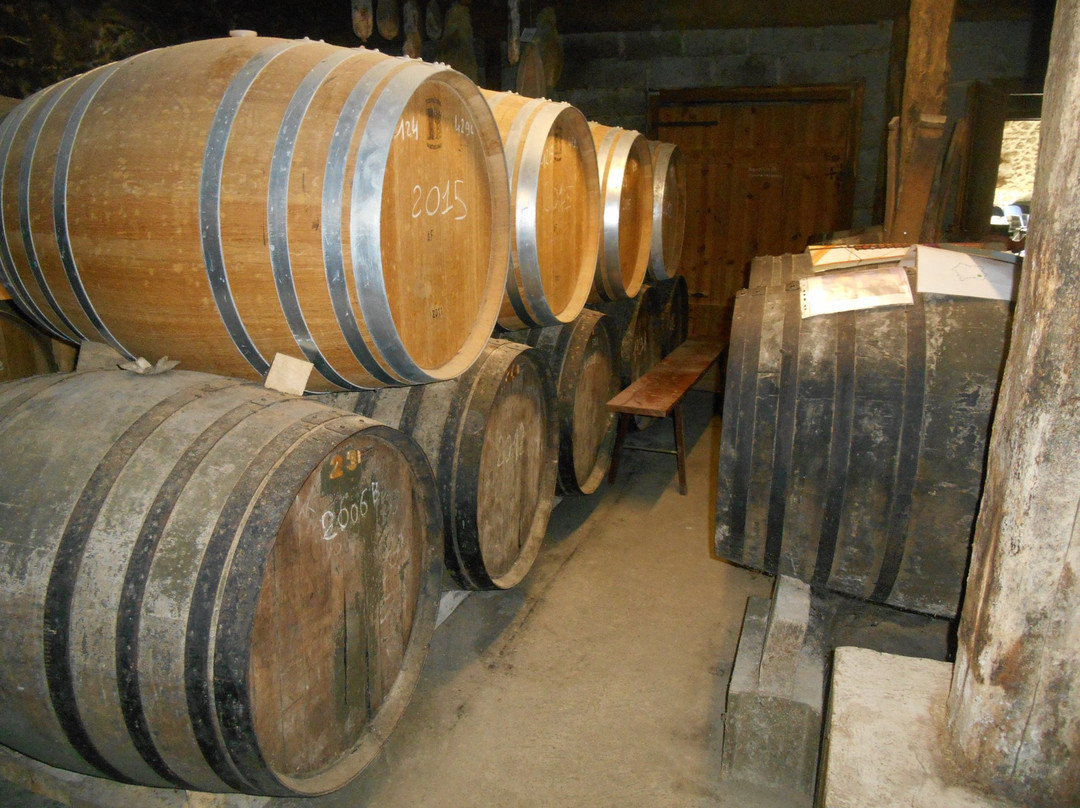 Domaine du Bilé景点图片