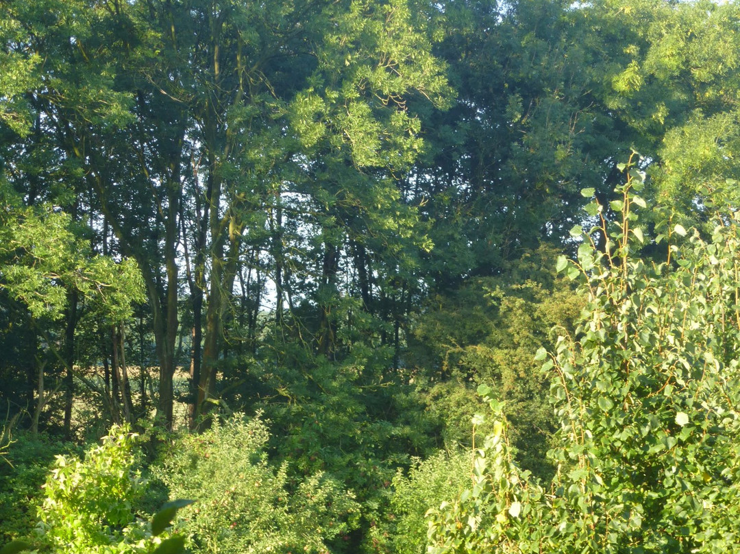 Thermen Born-Born必去景点