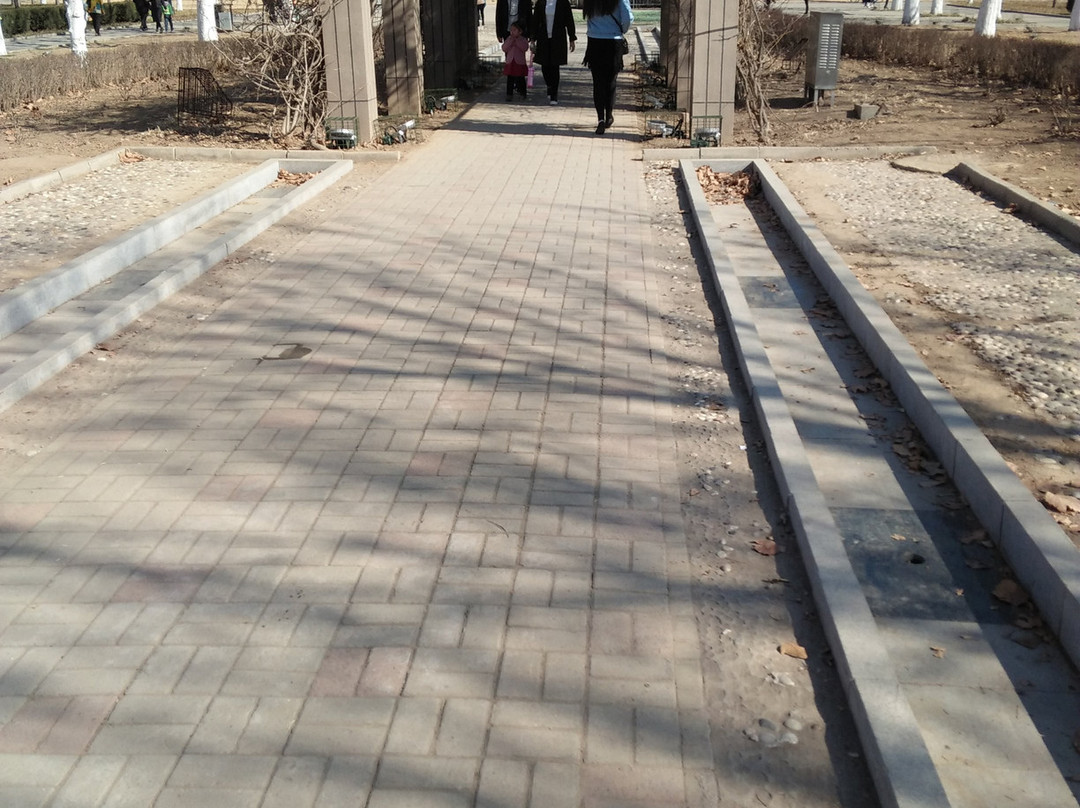 保定植物园-保定市必去景点