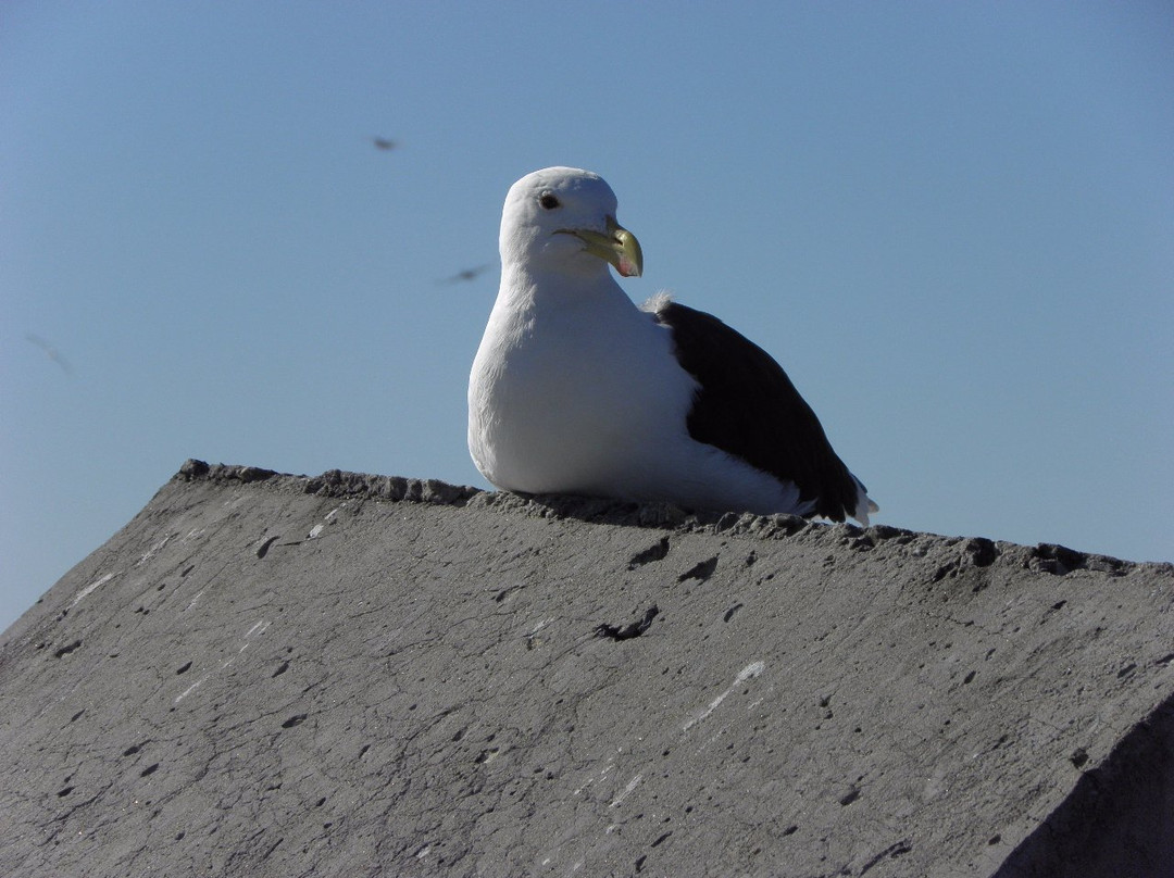 White Sands Guesthouse主图