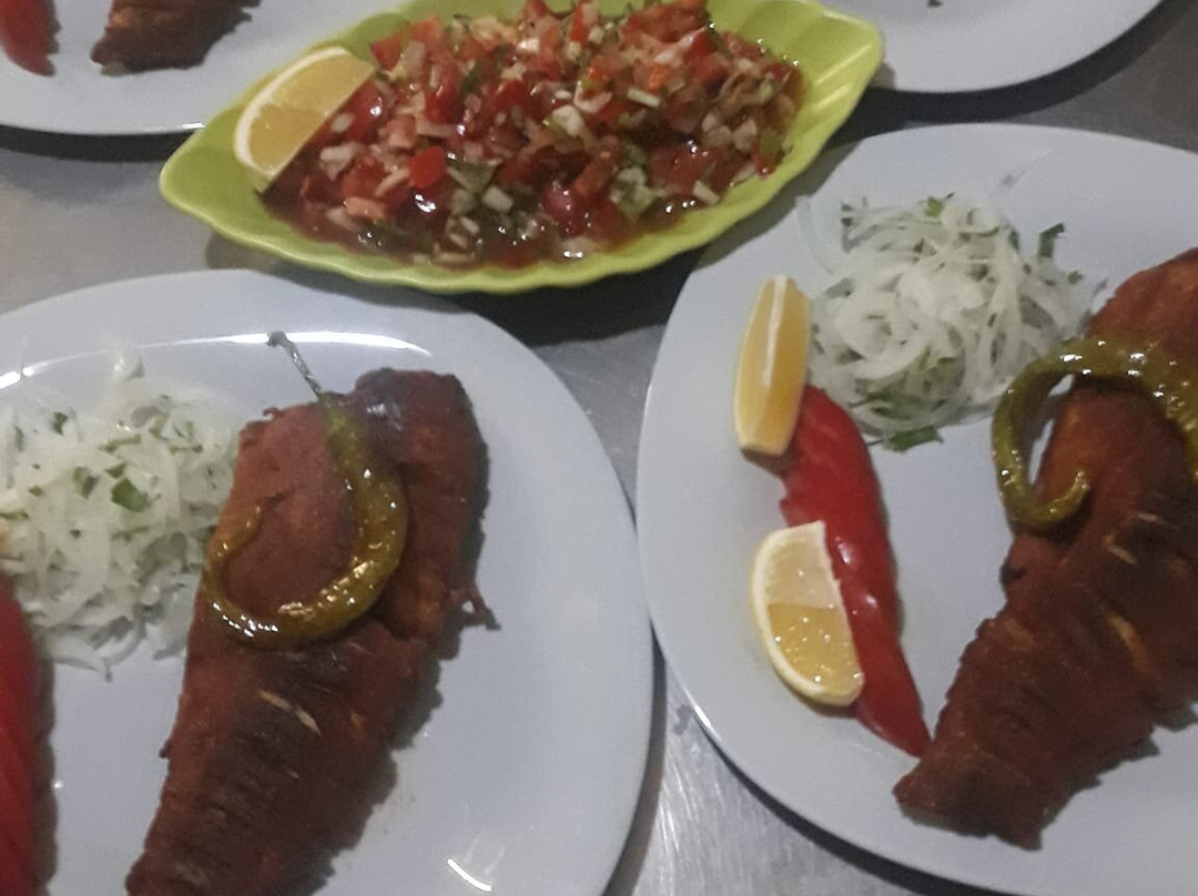 Çamlık Kamp Alanı