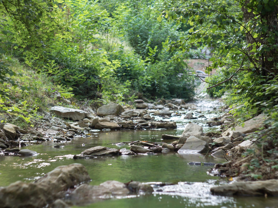 Camping Le Sorgenti