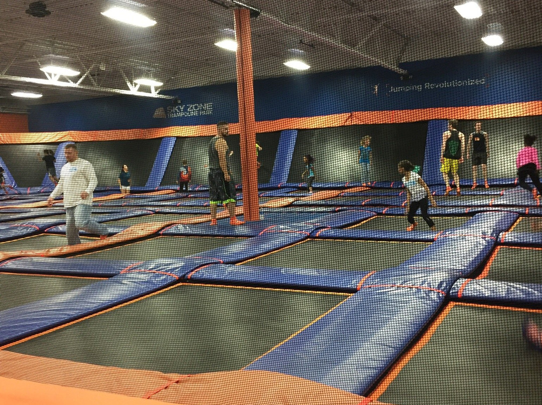 Sky Zone Trampoline Park景点图片