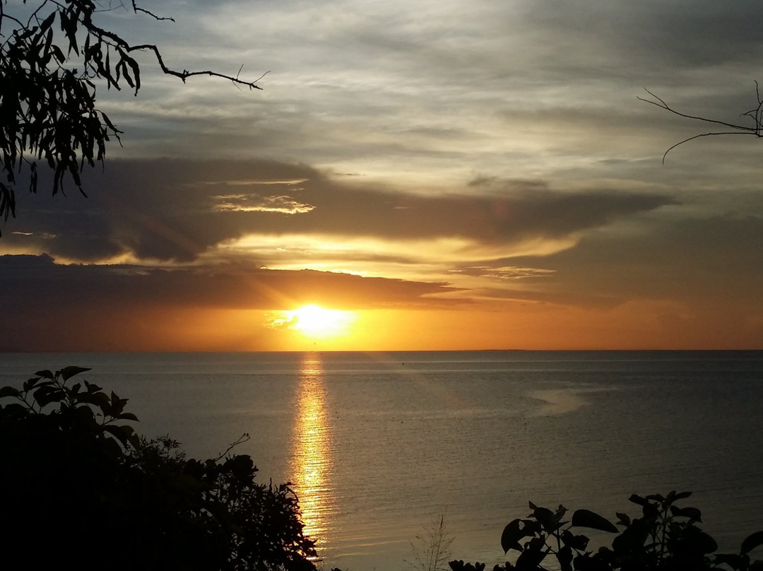 Cod Hole-蜥蜴岛必去景点