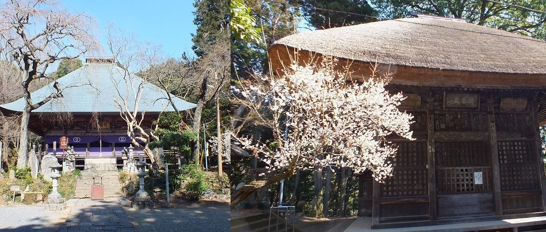 Saimyoji Castle Ruin-益子町必去景点